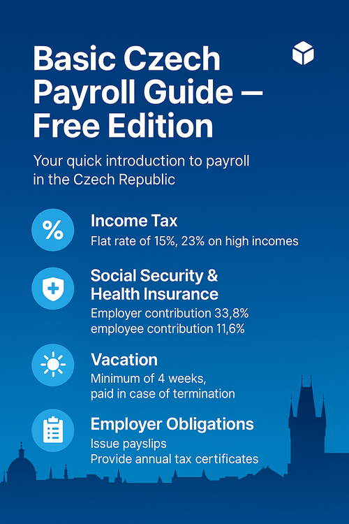 Czech payroll basics icons